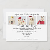 パワソドッグポーティクリスマス5フォトカード 招待状 (裏面)