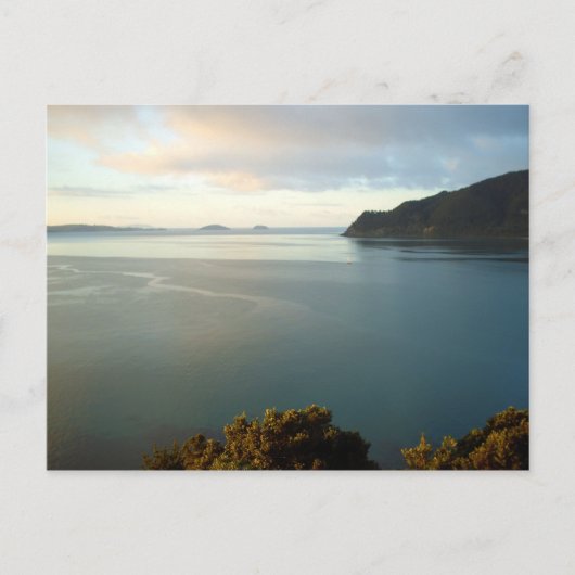 パワヌイビーチベイニュージーランドはがき ポストカード (正面)