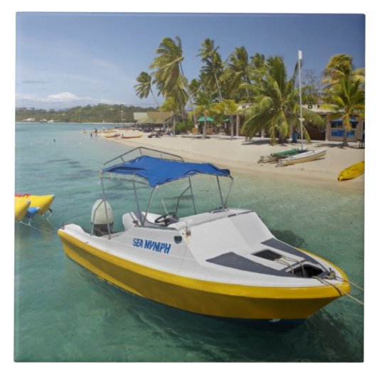 パワーボートとバナナボート タイル (正面)