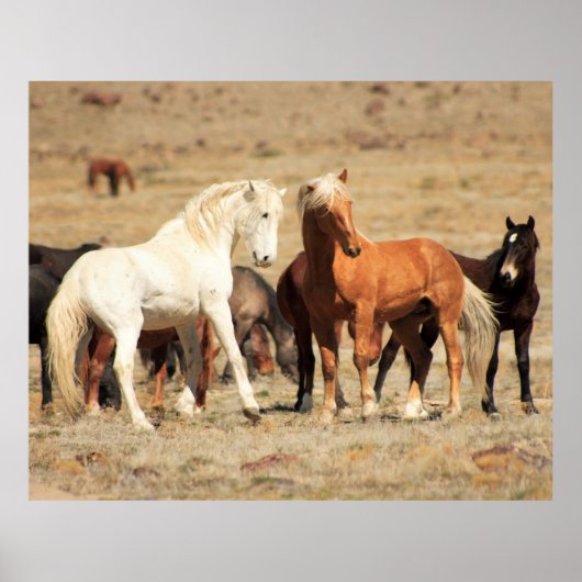 パワー遊 ポスター (正面)