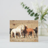 パワー遊 ポストカード (スタンド正面)