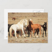 パワー遊 ポストカード (正面/裏面)