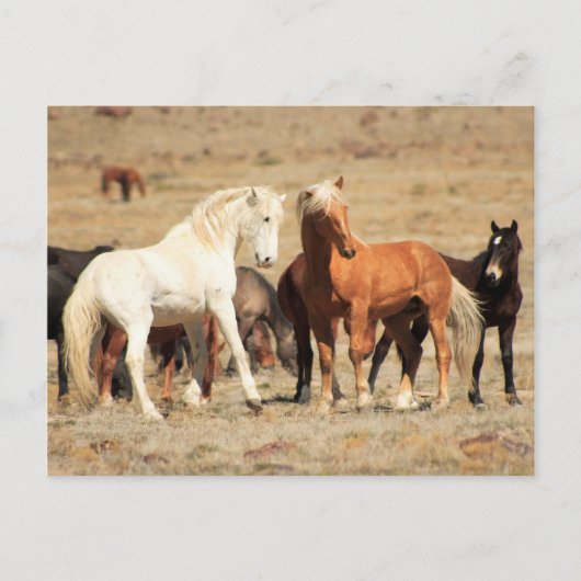 パワー遊 ポストカード (正面)