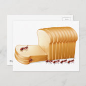 パンとアリ ポストカード (正面/裏面)