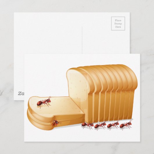 パンとアリ ポストカード (正面/裏面)