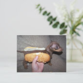 パンの中の犬 ポストカード (スタンド正面)