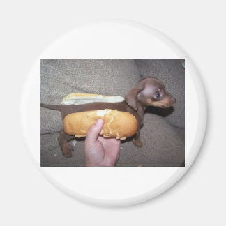 パンの中の犬 マグネット