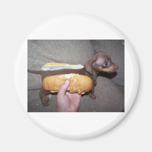 パンの中の犬 マグネット (正面)