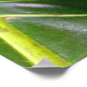 パンの実 ポスター (角)