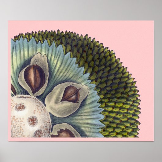 パンの断面 – 熱帯食品 ポスター (正面)