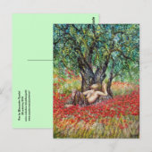 パンオリーブの木とケシ ポストカード (正面/裏面)