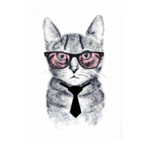 パンカの頭が切れる猫