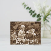 パンガーデン葉書 ポストカード (スタンド正面)