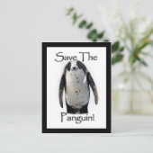 パンギ救ン! ポストカード (スタンド正面)