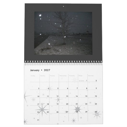 パンクの写真撮影2009年 カレンダー (1月 2027)