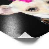 パンクロックチワワ フォトプリント            (角)