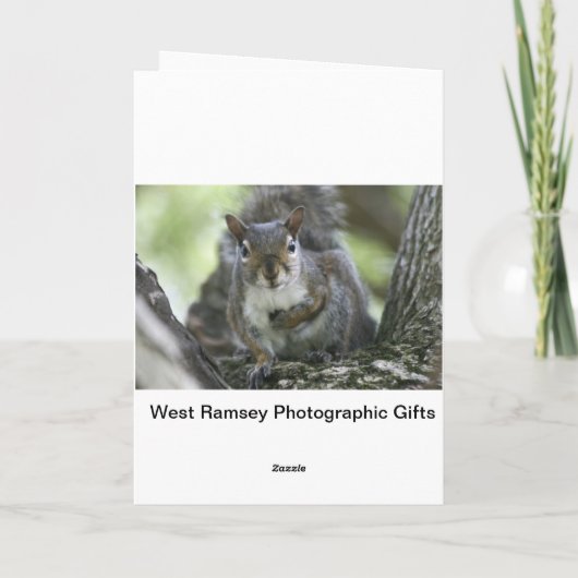 パンク誕生日カード カード (裏面)