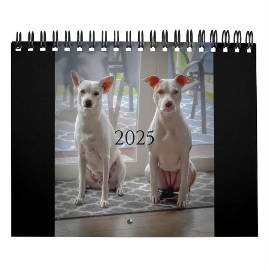 パンケーキとミルクシェイクのカレンダー カレンダー (カバー)