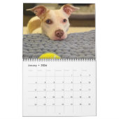 パンケーキとミルクシェイク、中カレンダー カレンダー (1月 2026)