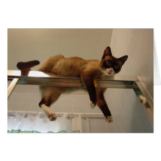 パンケーキカード