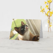 パンケーキカード カード (黄色い花)