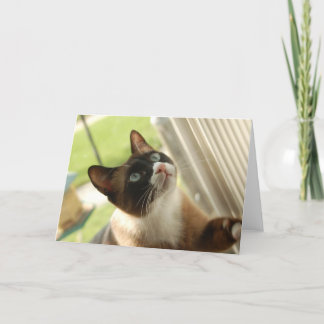 パンケーキカード カード