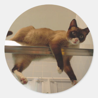 パンケーキシール ラウンドシール