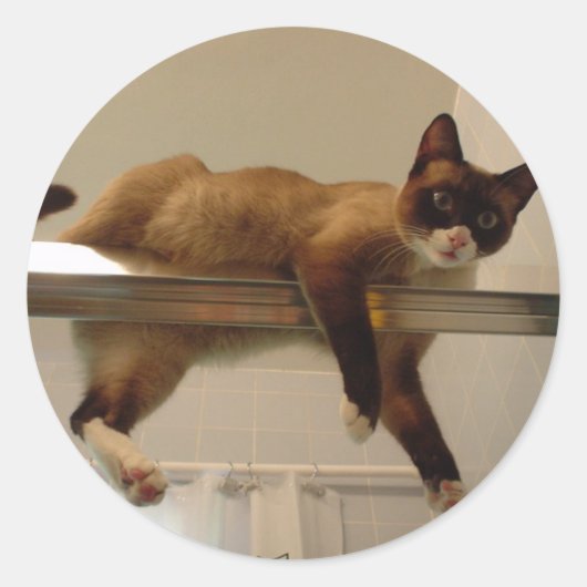 パンケーキシール ラウンドシール (正面)