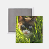 パンケーキ磁石 マグネット (正面/裏面)