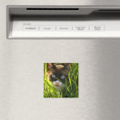 パンケーキ磁石 マグネット (インサイチュ (食洗機))