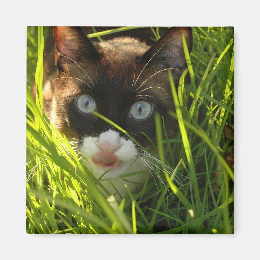 パンケーキ磁石 マグネット (正面)