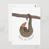 パンゴつるリンハガキ ポストカード (正面/裏面)