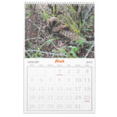 パンゴリン救助基金カレンダー2025 カレンダー (1月 2026)