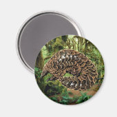 パンゴリン磁石 マグネット (正面/裏面)