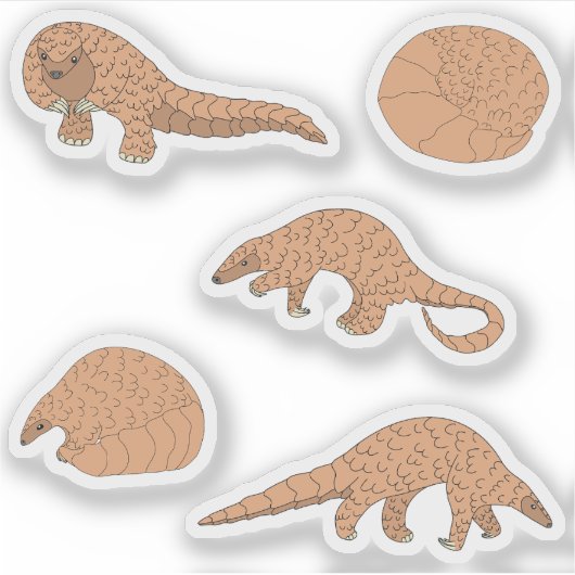 パンゴリン シール (正面)