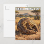 パンゴリンKruger国立公園南アフリカ ポストカード (正面/裏面)