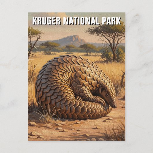 パンゴリンKruger国立公園南アフリカ ポストカード (正面)