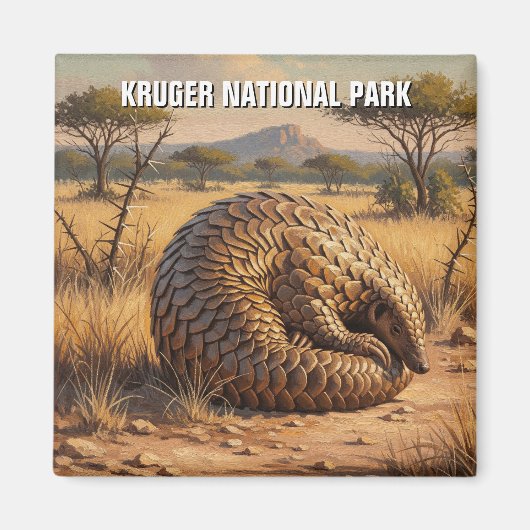 パンゴリンKruger国立公園南アフリカ マグネット (正面)