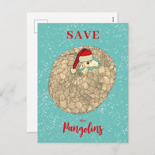 パンゴ救リンズクリスマススローガン シーズンポストカード (正面/裏面)