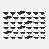 パンサーラッピング紙 ラッピングペーパーシート (正面)