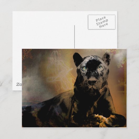 パンサー脈 ポストカード (正面/裏面)