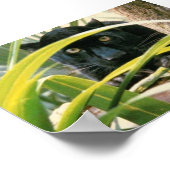 パンサー ポスター (角)