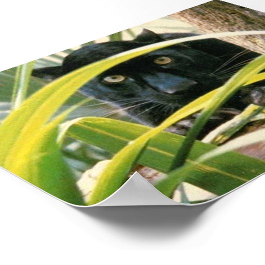 パンサー ポスター (角)