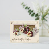 パンシーパンシーパープルホワイト ポストカード (スタンド正面)