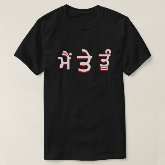 パンジャビにいる私とあなたたち(ਮੈਂ ਤੇ ਤੂੰ) Tシャツ (デザイン正面)