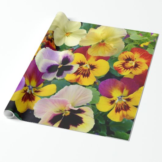 パンジーかわいらし ラッピングペーパー (アンロールド)