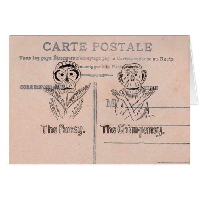 パンジーとチンプユーモア (正面横)