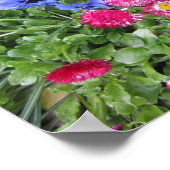 パンジーとデイジー ポスター (角)