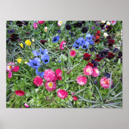 パンジーとデイジー ポスター
