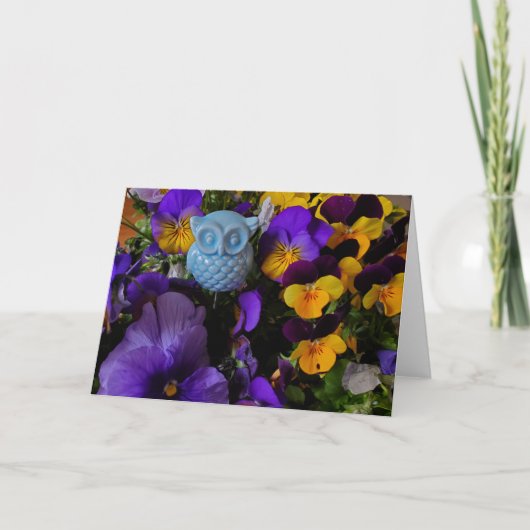 パンジーとフクロウカード カード (正面)
